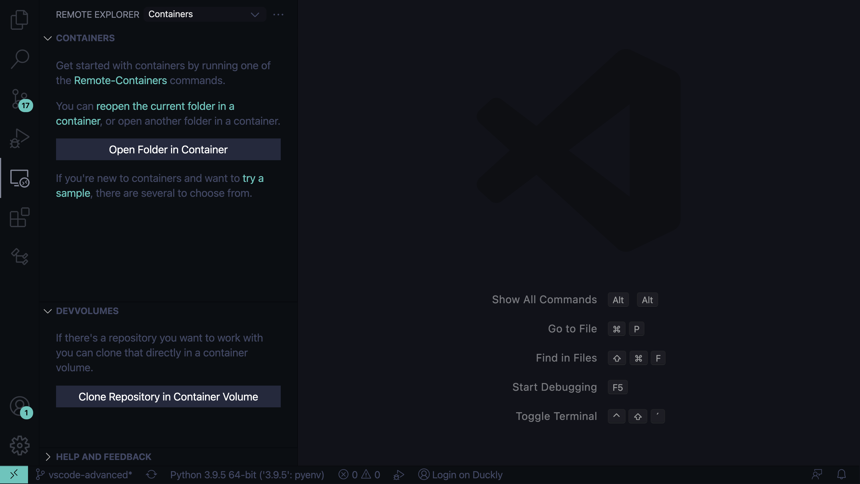 VS Code Remote Container Window