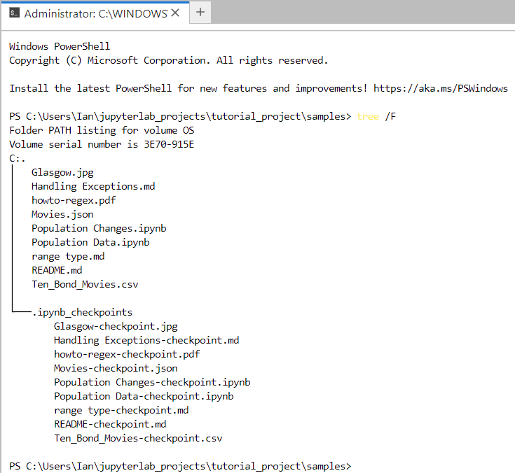 a windows powershell terminal