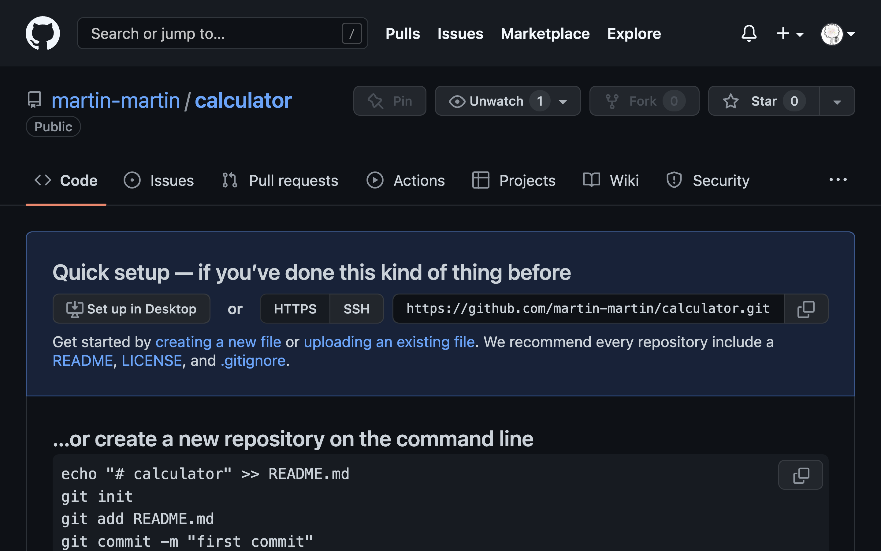 A screenshot displaying the new repo page on GitHub with a repo URL